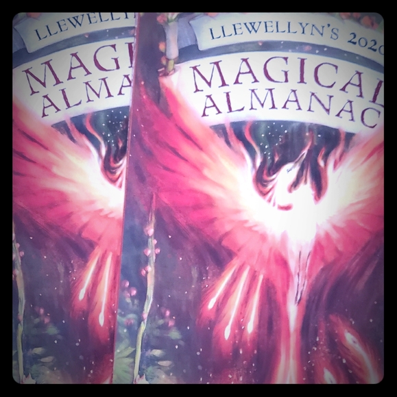 Llewellyn Other - Brand New! 🌬️ 🔮 •∆🌜Witchy Books!🌛∆•🔮